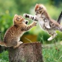 สมาชิกหมายเลข 1289973