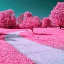 สมาชิกหมายเลข 1700673