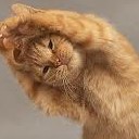 สมาชิกหมายเลข 2135906