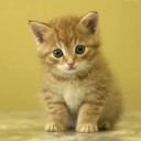 สมาชิกหมายเลข 2135969