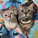 สมาชิกหมายเลข 2528923