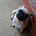 สมาชิกหมายเลข 892336