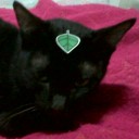 สมาชิกหมายเลข 892373