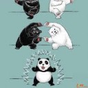 สมาชิกหมายเลข 1717319