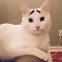 สมาชิกหมายเลข 2527922