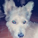 สมาชิกหมายเลข 3371219