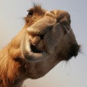 สมาชิกหมายเลข 892650