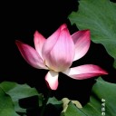 สมาชิกหมายเลข 892800