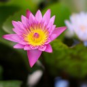 สมาชิกหมายเลข 1290442