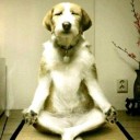 สมาชิกหมายเลข 2529932