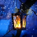 สมาชิกหมายเลข 3373957