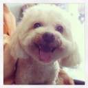 ป๊ะป๋าของเรนเดียร์