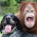 สมาชิกหมายเลข 733274