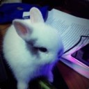 สมาชิกหมายเลข 1002166