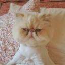 สมาชิกหมายเลข 2530486