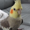 สมาชิกหมายเลข 3374796