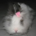 สมาชิกหมายเลข 847739