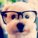 สมาชิกหมายเลข 881579