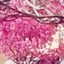 สมาชิกหมายเลข 2137718