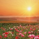 สุขสดชื่นทุกวัน