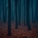 สมาชิกหมายเลข 2530653