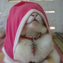 ติรติรา