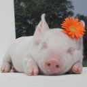 คานทองที่มีความสุข