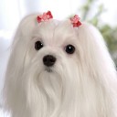 สมาชิกหมายเลข 2279564