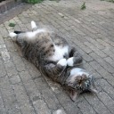 สมาชิกหมายเลข 870010