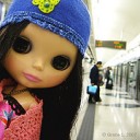 กระต่ายน้อยอยู่บนดวงจันทร์