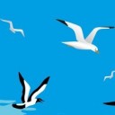 สมาชิกหมายเลข 893906