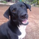 สมาชิกหมายเลข 1677411