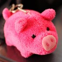 a pinky pig