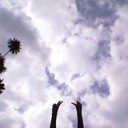 สมาชิกหมายเลข 3351923