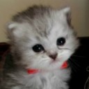 สมาชิกหมายเลข 876040