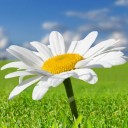 สมาชิกหมายเลข 1170651