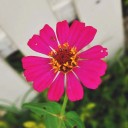 สมาชิกหมายเลข 1889330