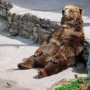 สมาชิกหมายเลข 1126960