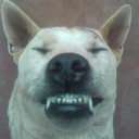 สมาชิกหมายเลข 1715445