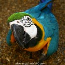 สมาชิกหมายเลข 2139197