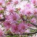 สมาชิกหมายเลข 2139208