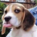 สมาชิกหมายเลข 2933836