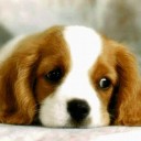 สมาชิกหมายเลข 3373154