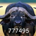 สมาชิกหมายเลข 777495