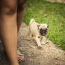 สมาชิกหมายเลข 863092