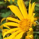 สมาชิกหมายเลข 895321