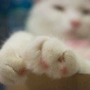 สมาชิกหมายเลข 895392