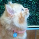 สมาชิกหมายเลข 895465