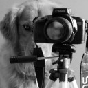 สมาชิกหมายเลข 1293300