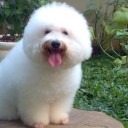 สมาชิกหมายเลข 881085